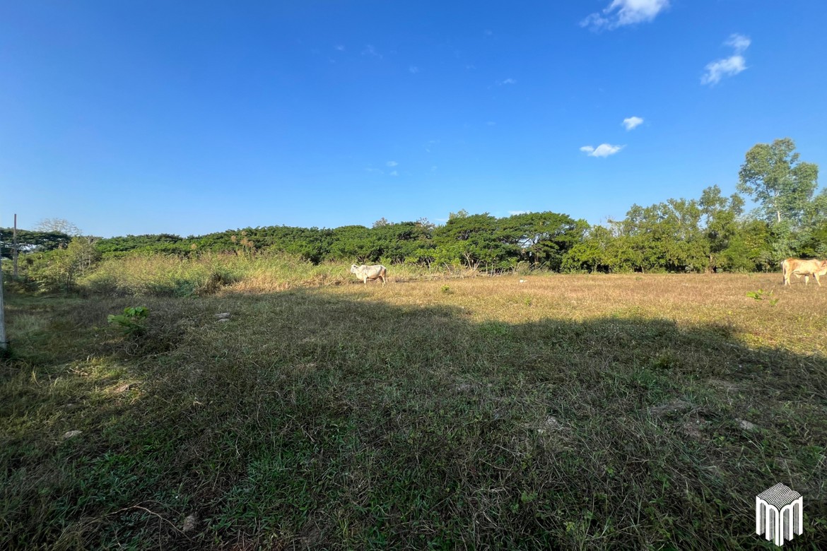 Property id208ls Land for sale in San Sai 1-1-65 sq.wa near Meajo University-MR-209LS