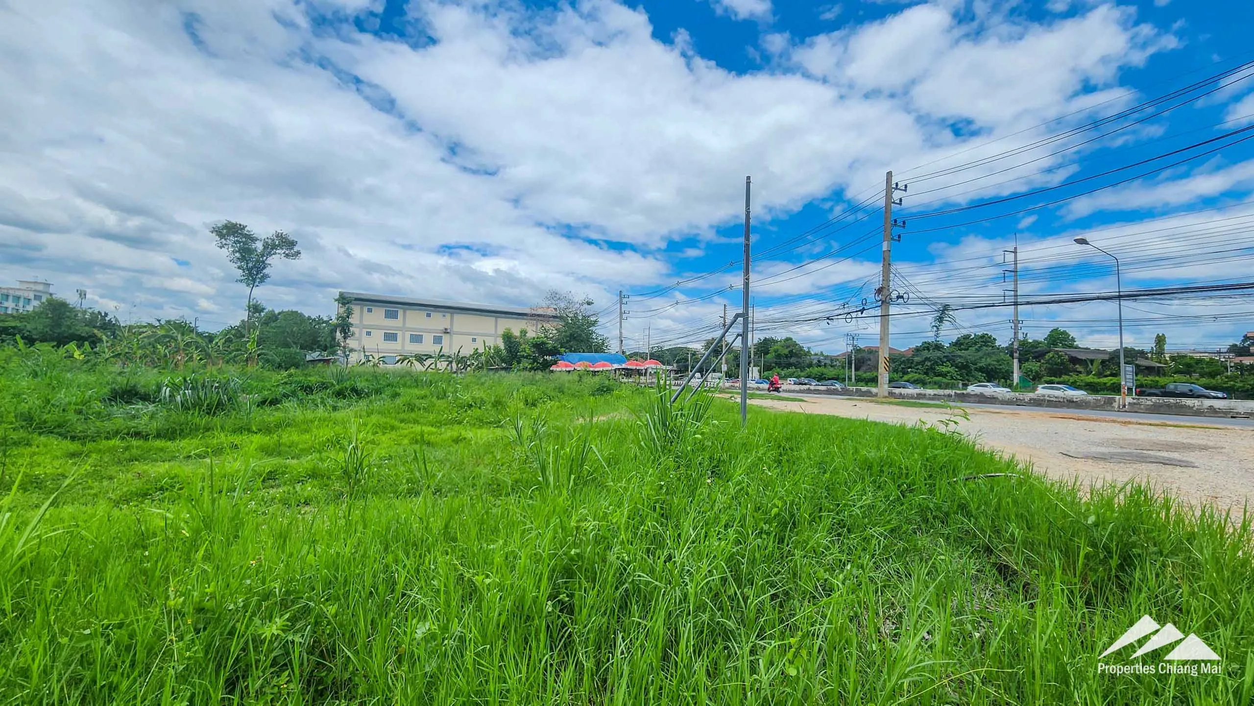 Land For Sale In Mueang Chiang-Mai - PC-MCM009