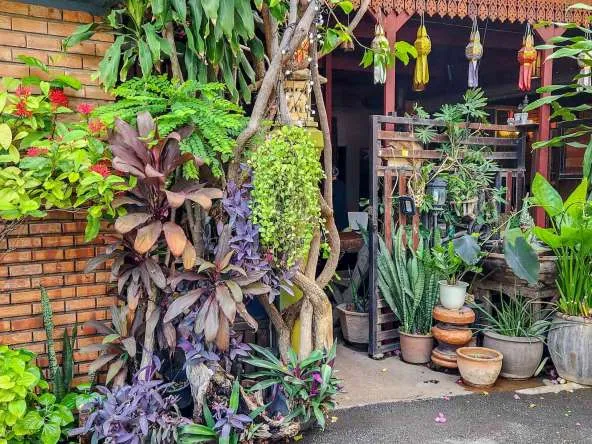 Homestay For Sale In Mueang Chiang Mai - PC-MCM010