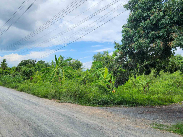 Land For Sale In Saraphi, Chiang Mai - PC-SP006