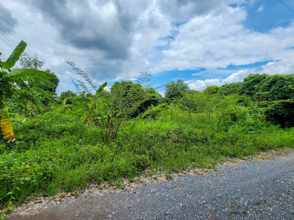 Land For Sale In Saraphi, Chiang Mai - PC-SP006