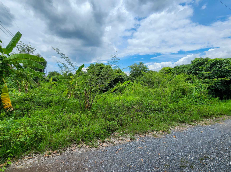 Land For Sale In Saraphi, Chiang Mai - PC-SP006