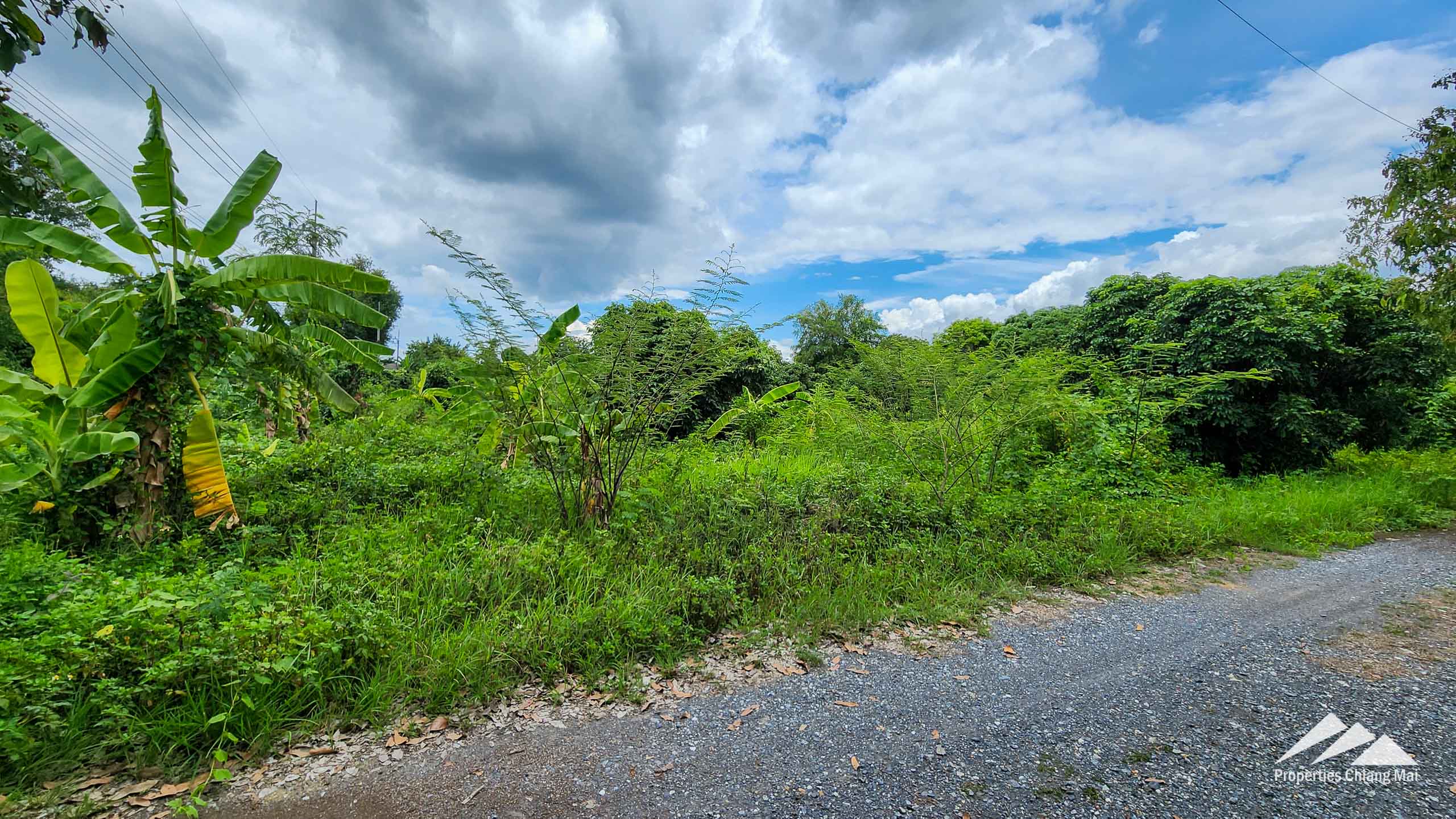 Land For Sale In Saraphi, Chiang Mai - PC-SP006