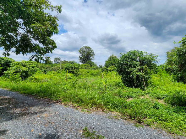 Land For Sale In Saraphi, Chiang Mai - PC-SP006