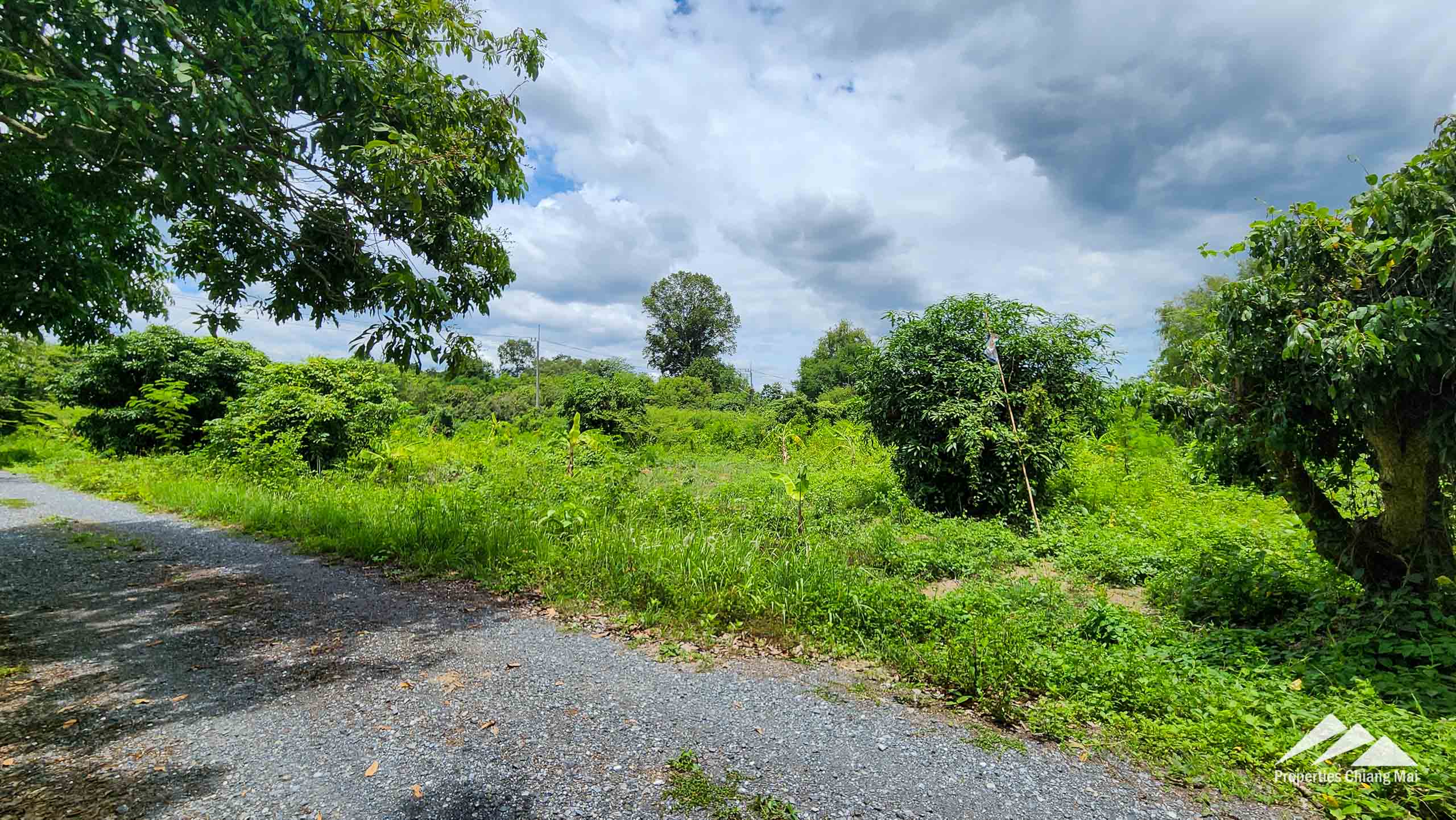 Land For Sale In Saraphi, Chiang Mai - PC-SP006