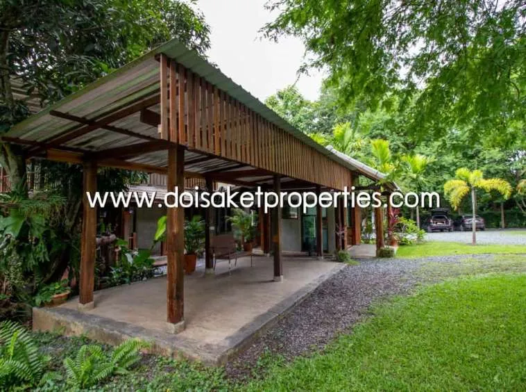 Doi Saket-DSP-(HS195-02) Cool Design House and Coffee Shop on Nearly 4 Rai of Land for Sale in Doi Saket                            