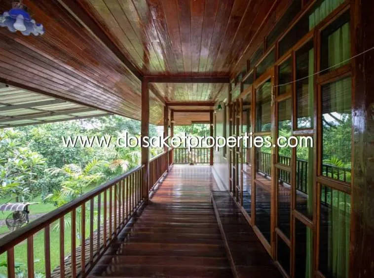 Doi Saket-DSP-(HS195-02) Cool Design House and Coffee Shop on Nearly 4 Rai of Land for Sale in Doi Saket                            