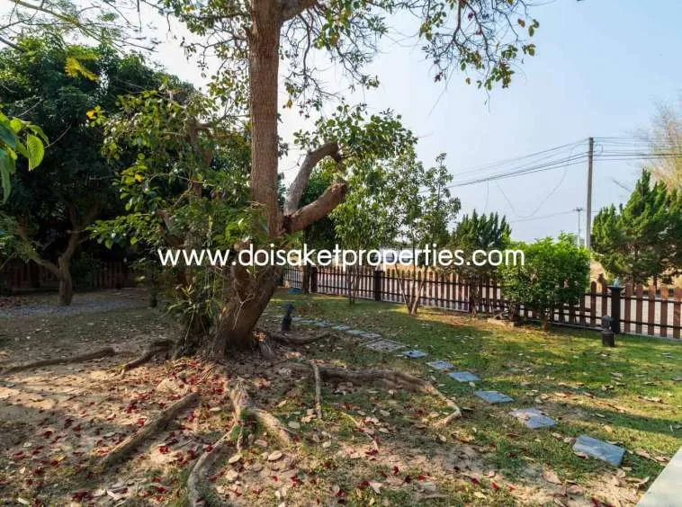 Doi Saket-DSP-(HS289-02) Great Home with Cool Design for Sale in Doi Saket