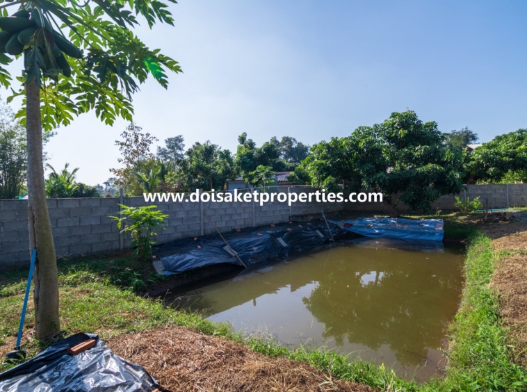 Doi Saket-DSP-(HS320-02) Newer 2-Bedroom House for Sale in a Quiet and Rural Location near Mae Kuang Dam in Luang Nuea