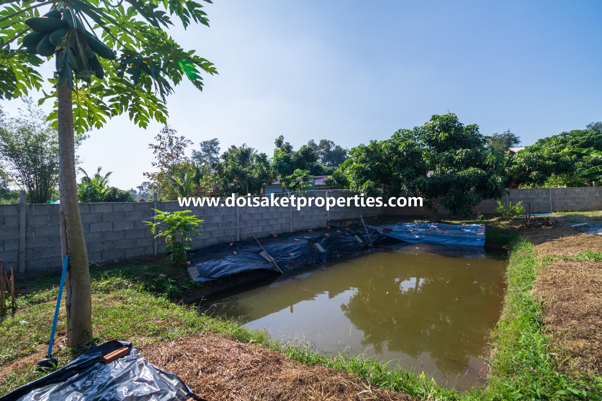 Doi Saket-DSP-(HS320-02) Newer 2-Bedroom House for Sale in a Quiet and Rural Location near Mae Kuang Dam in Luang Nuea