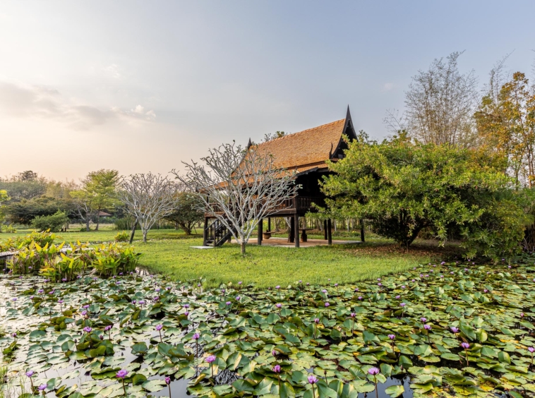 Chiang Mai