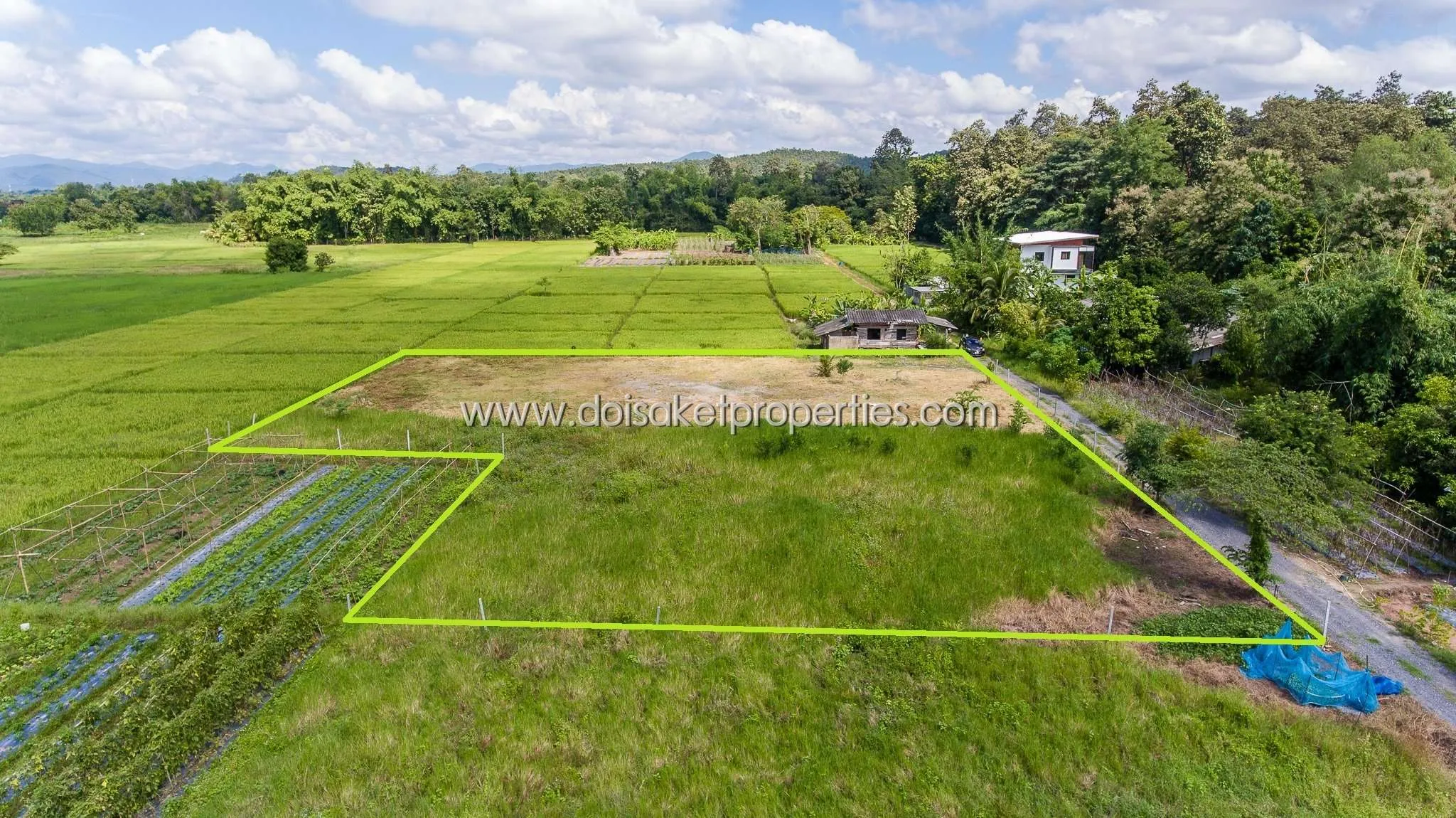 Doi Saket-DSP-(LS291-01) Beautiful plot of land surrounded by nature Pa Pong