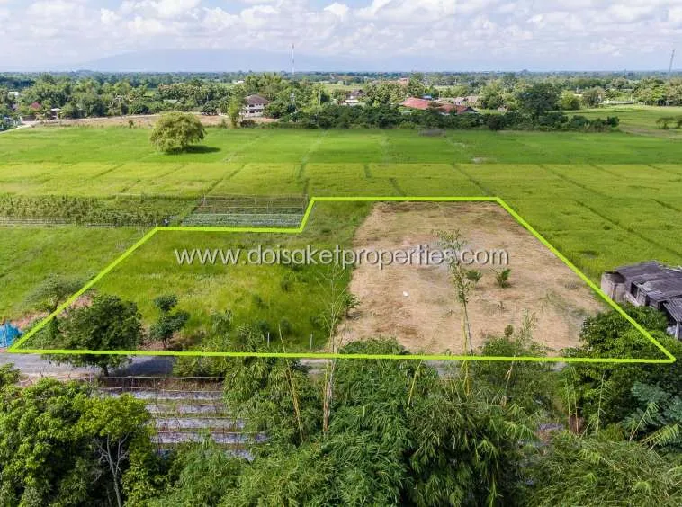 Doi Saket-DSP-(LS291-01) Beautiful plot of land surrounded by nature Pa Pong