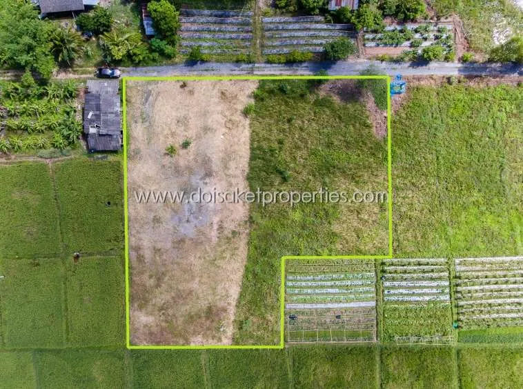 Doi Saket-DSP-(LS291-01) Beautiful plot of land surrounded by nature Pa Pong