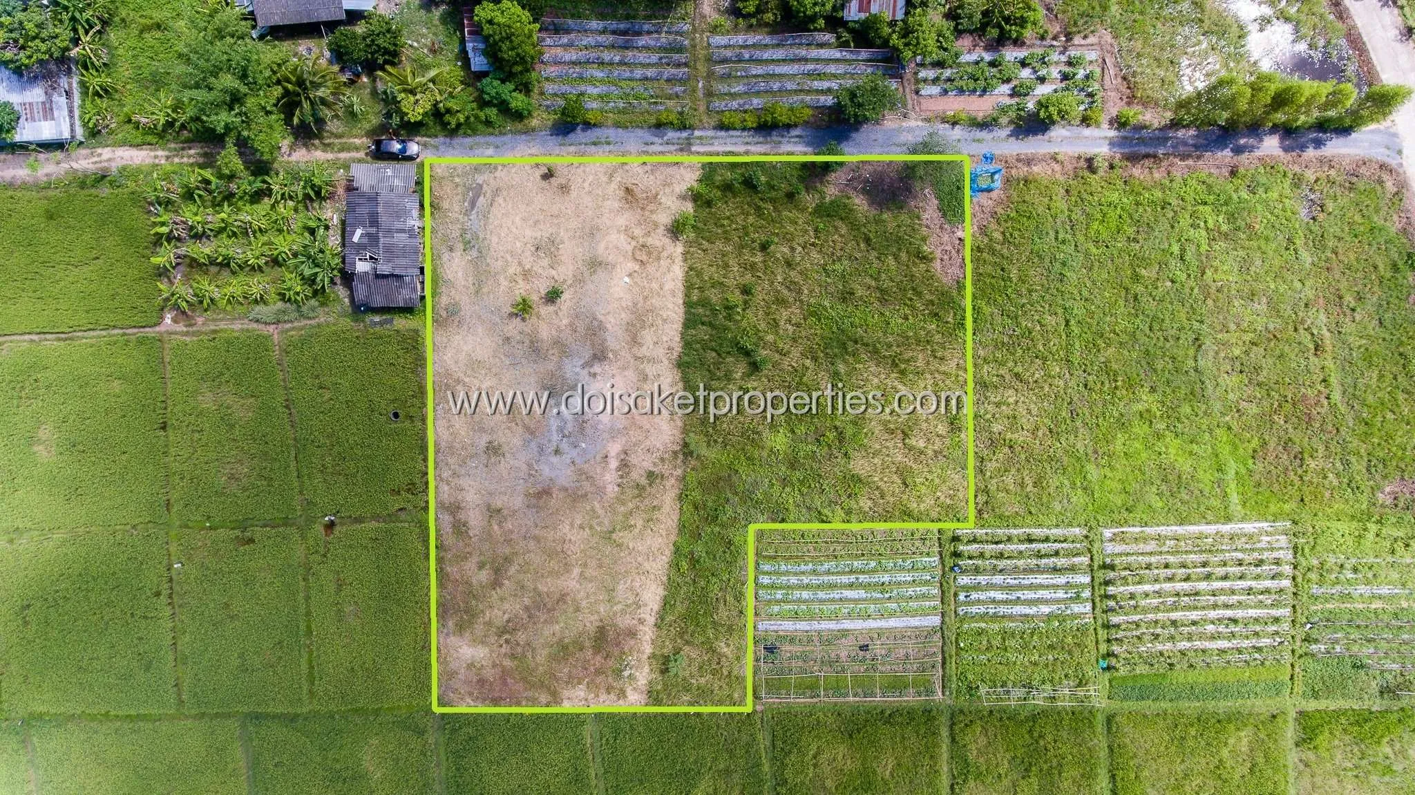 Doi Saket-DSP-(LS291-01) Beautiful plot of land surrounded by nature Pa Pong