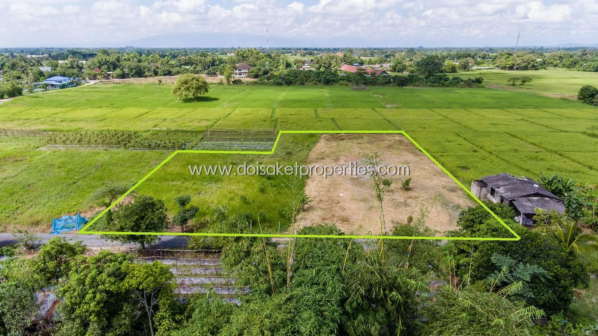 Doi Saket-DSP-(LS291-01) Beautiful plot of land surrounded by nature Pa Pong