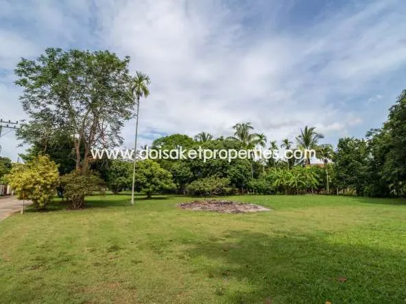 Doi Saket-DSP-(LS312-00) Lovely Plot of Land Ready to Build on in Doi Saket