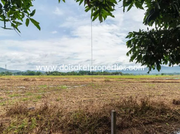 Doi Saket-DSP-(LS312-00) Lovely Plot of Land Ready to Build on in Doi Saket