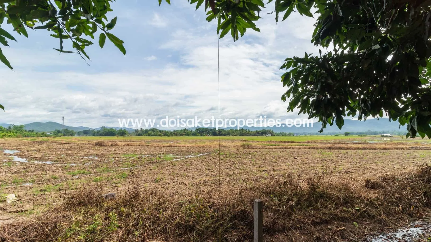 Doi Saket-DSP-(LS312-00) Lovely Plot of Land Ready to Build on in Doi Saket