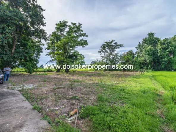 Doi Saket-DSP-(LS317-00) Nice Plot of Land with Rice Paddy and Mountain Views for Sale in a Moo Ban in Doi Saket