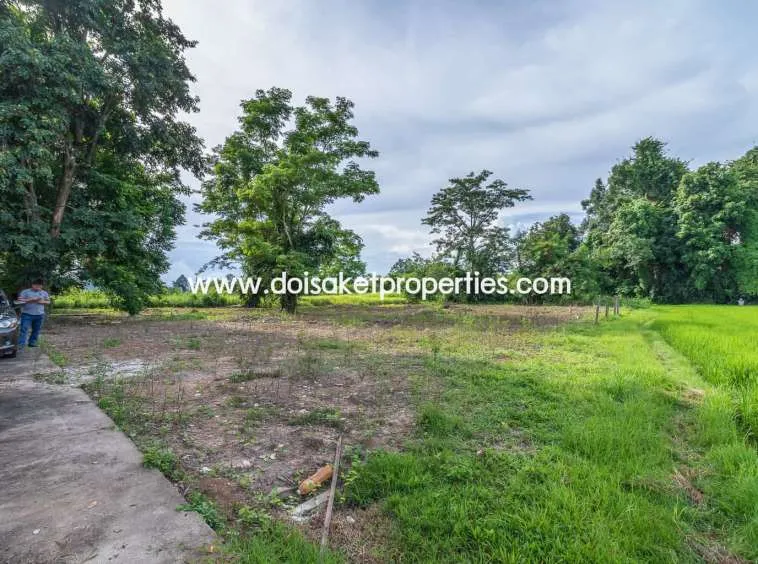 Doi Saket-DSP-(LS317-00) Nice Plot of Land with Rice Paddy and Mountain Views for Sale in a Moo Ban in Doi Saket