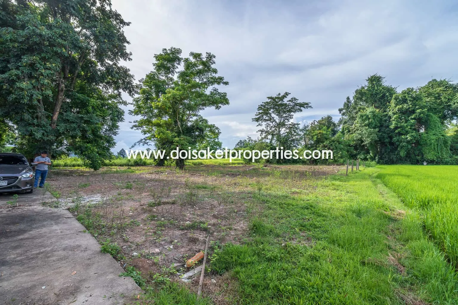 Doi Saket-DSP-(LS317-00) Nice Plot of Land with Rice Paddy and Mountain Views for Sale in a Moo Ban in Doi Saket