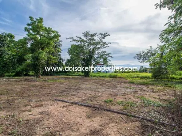 Doi Saket-DSP-(LS317-00) Nice Plot of Land with Rice Paddy and Mountain Views for Sale in a Moo Ban in Doi Saket