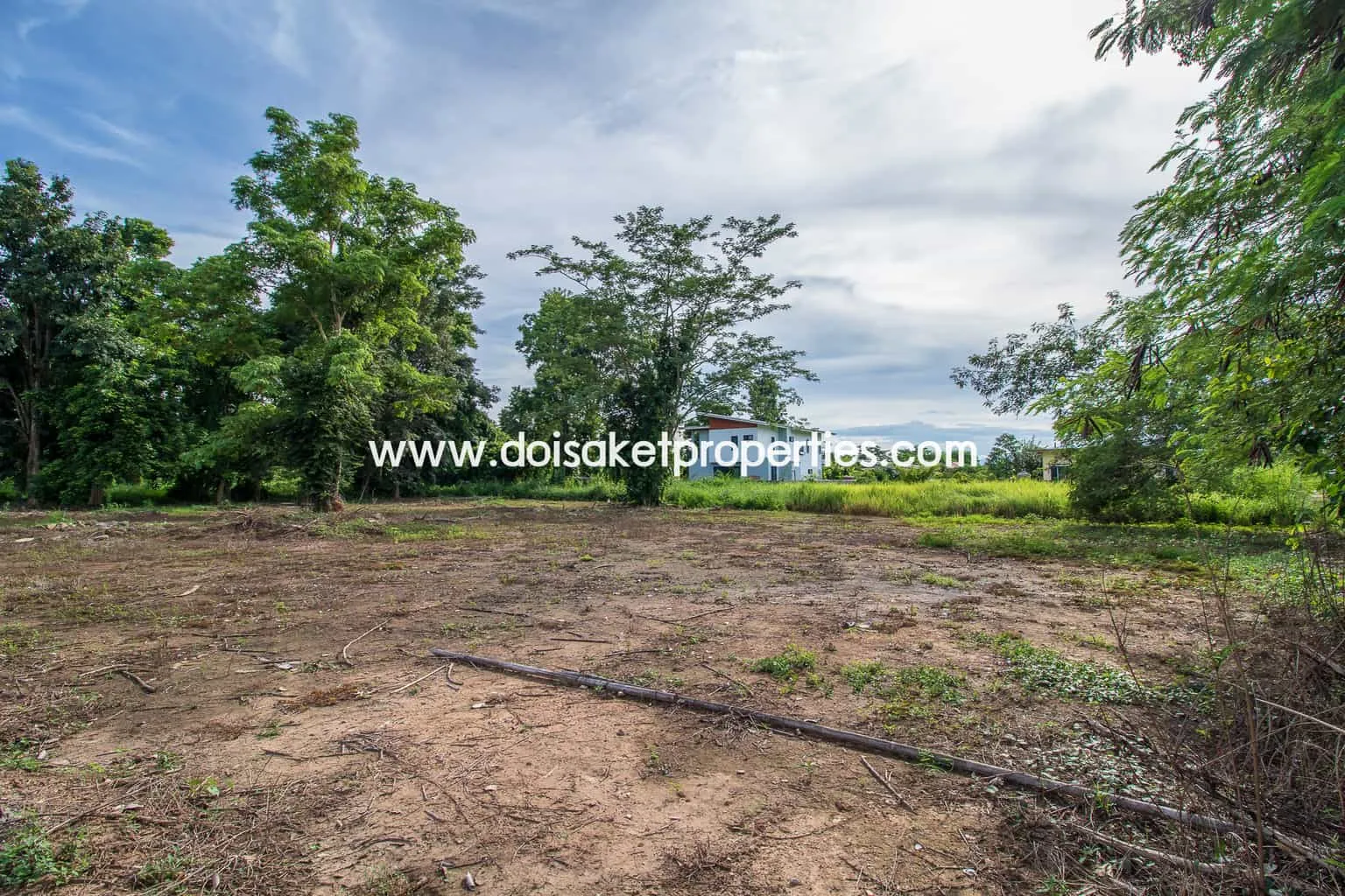 Doi Saket-DSP-(LS317-00) Nice Plot of Land with Rice Paddy and Mountain Views for Sale in a Moo Ban in Doi Saket