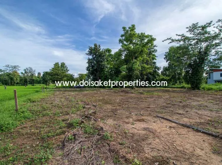 Doi Saket-DSP-(LS317-00) Nice Plot of Land with Rice Paddy and Mountain Views for Sale in a Moo Ban in Doi Saket