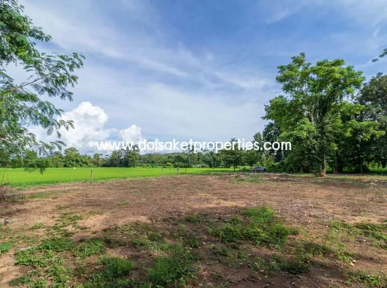 Doi Saket-DSP-(LS317-00) Nice Plot of Land with Rice Paddy and Mountain Views for Sale in a Moo Ban in Doi Saket