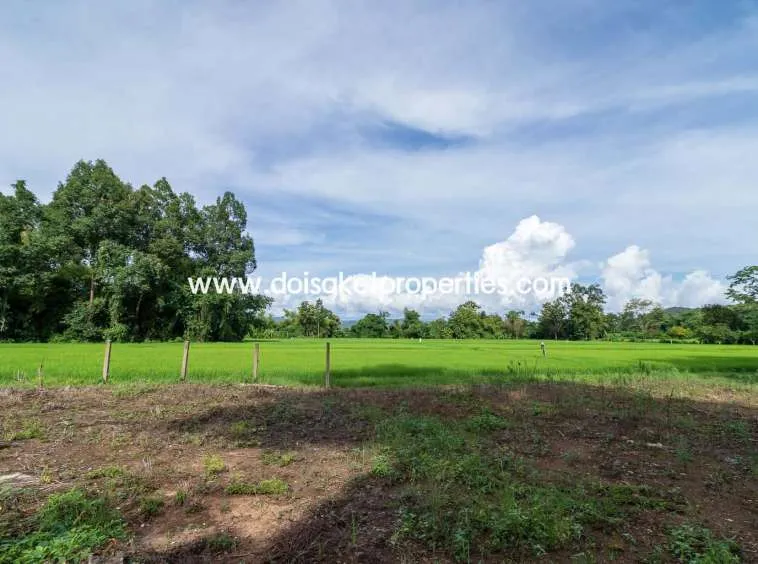 Doi Saket-DSP-(LS317-00) Nice Plot of Land with Rice Paddy and Mountain Views for Sale in a Moo Ban in Doi Saket