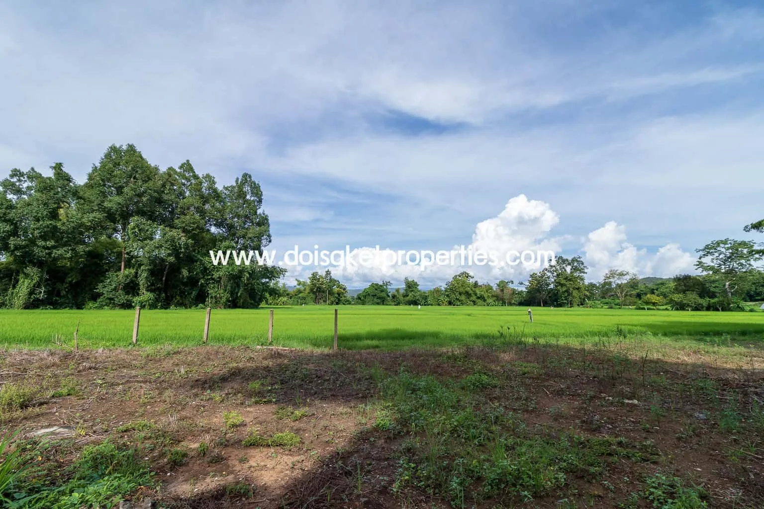 Doi Saket-DSP-(LS317-00) Nice Plot of Land with Rice Paddy and Mountain Views for Sale in a Moo Ban in Doi Saket