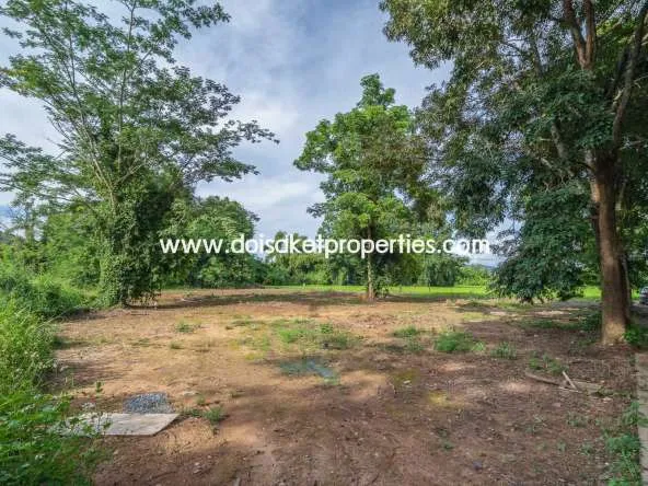 Doi Saket-DSP-(LS317-00) Nice Plot of Land with Rice Paddy and Mountain Views for Sale in a Moo Ban in Doi Saket