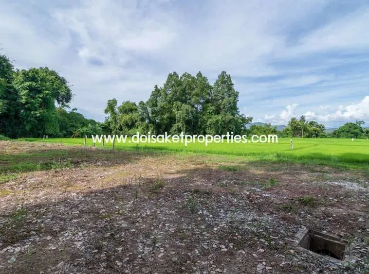 Doi Saket-DSP-(LS317-00) Nice Plot of Land with Rice Paddy and Mountain Views for Sale in a Moo Ban in Doi Saket