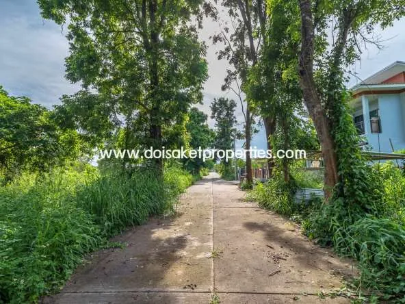 Doi Saket-DSP-(LS317-00) Nice Plot of Land with Rice Paddy and Mountain Views for Sale in a Moo Ban in Doi Saket