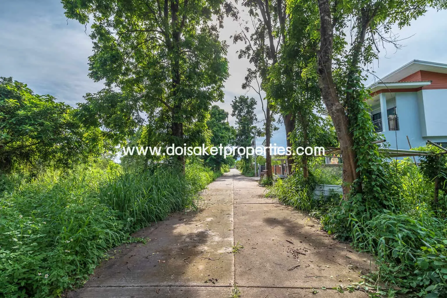 Doi Saket-DSP-(LS317-00) Nice Plot of Land with Rice Paddy and Mountain Views for Sale in a Moo Ban in Doi Saket