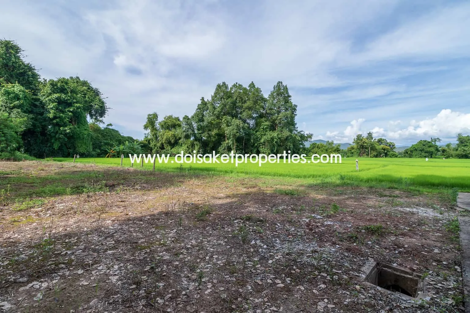 Doi Saket-DSP-(LS317-00) Nice Plot of Land with Rice Paddy and Mountain Views for Sale in a Moo Ban in Doi Saket