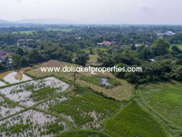 Doi Saket-DSP-(LS324-03) Land with Beautiful Views Close to the Main Road For Sale in Doi Saket