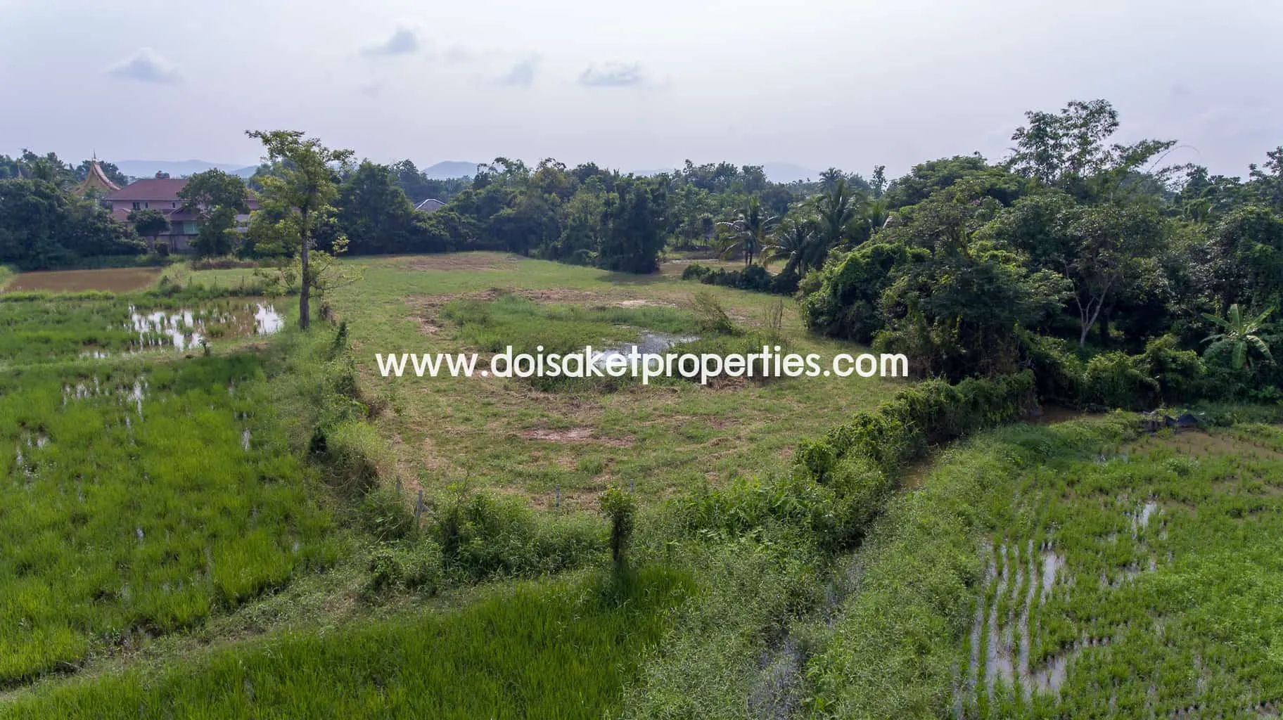 Doi Saket-DSP-(LS324-03) Land with Beautiful Views Close to the Main Road For Sale in Doi Saket