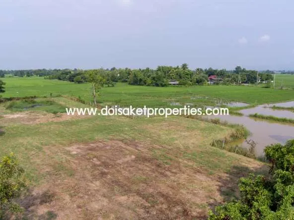 Doi Saket-DSP-(LS324-03) Land with Beautiful Views Close to the Main Road For Sale in Doi Saket