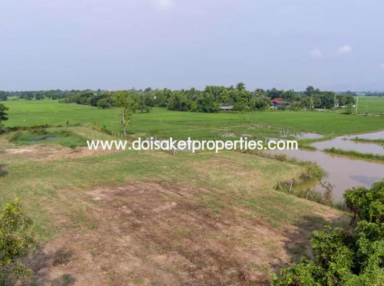 Doi Saket-DSP-(LS324-03) Land with Beautiful Views Close to the Main Road For Sale in Doi Saket