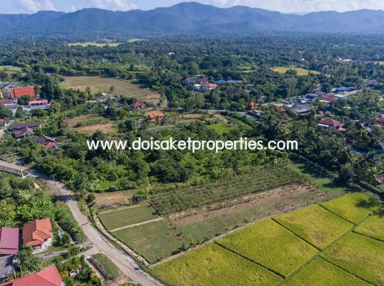 Doi Saket-DSP-(LS328-05) Nice Plot of Land Full of Longan Trees for Sale in Luang Nuea