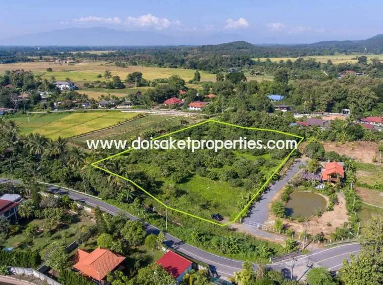 Doi Saket-DSP-(LS328-05) Nice Plot of Land Full of Longan Trees for Sale in Luang Nuea