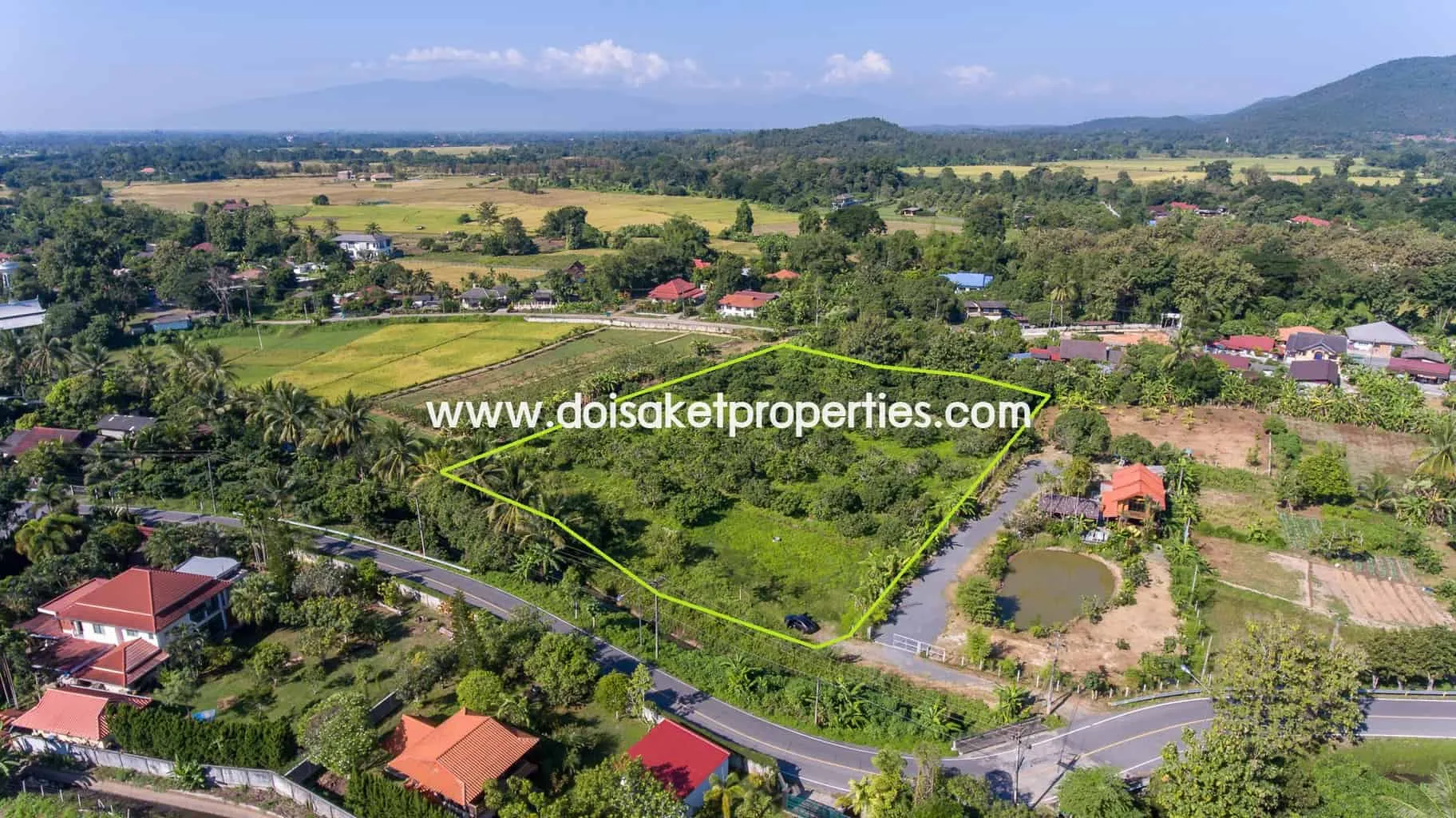 Doi Saket-DSP-(LS328-05) Nice Plot of Land Full of Longan Trees for Sale in Luang Nuea