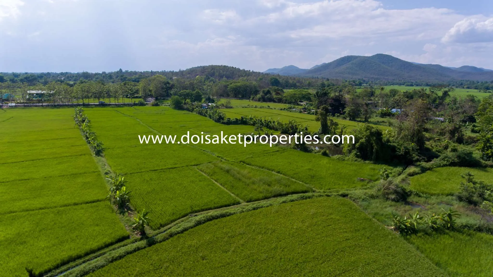 Doi Saket-DSP-(LS347-07) 7.5+ Rai of Land with Great Views in Luang Nuea