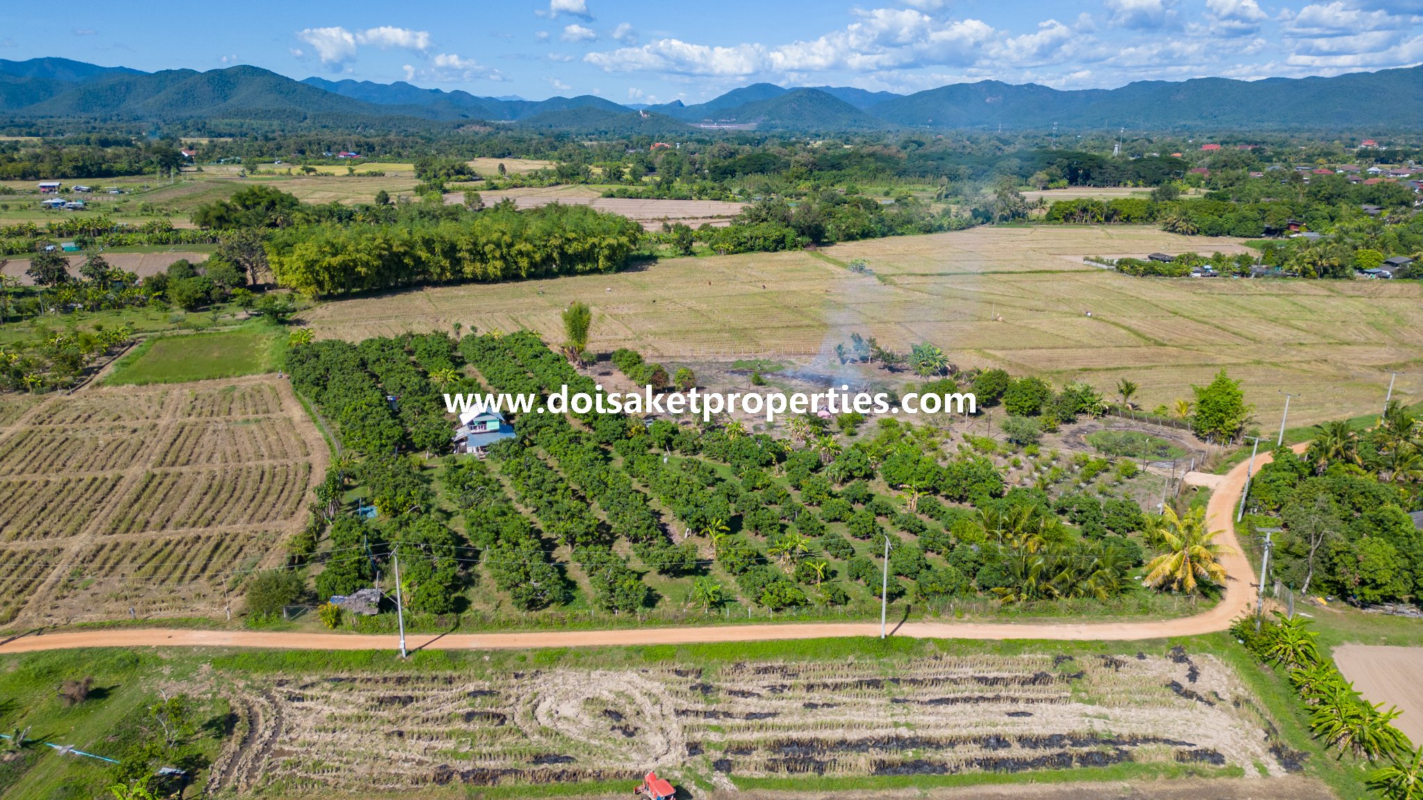 Doi Saket-DSP-(LS377-04) Beautiful 4+ Rai Plot of Land with Great Views for Sale in Luang Nuea