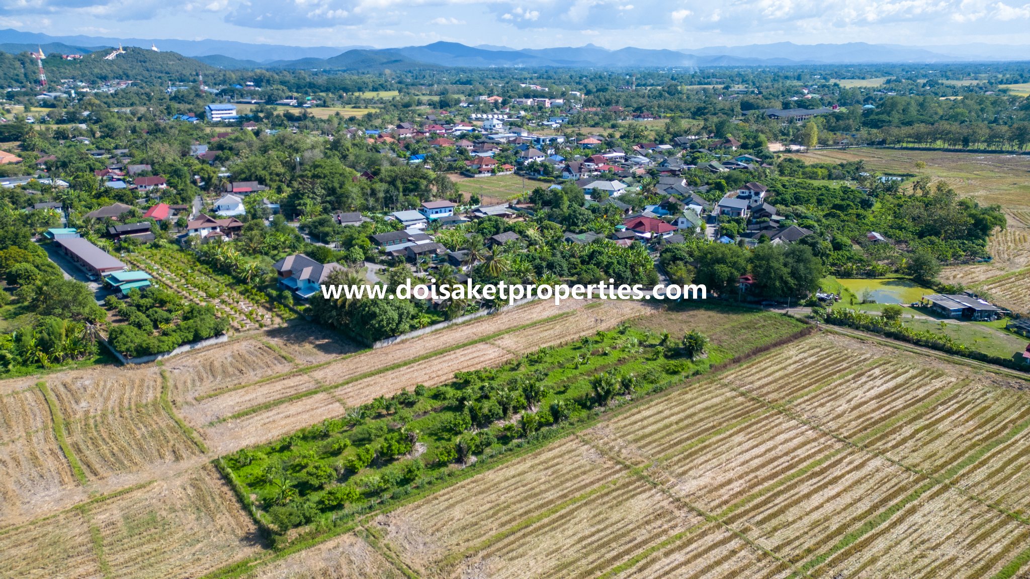 Doi Saket-DSP-(LS378-02) 2+ Rai of Land with Views for Sale in Luang Nuea