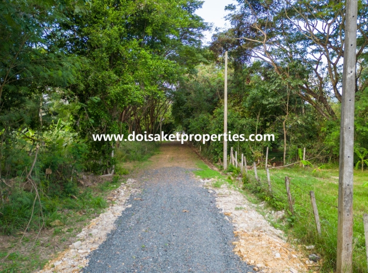 Doi Saket-DSP-(LS379-02) 2.5+ Rai of Nice Land for Sale in Luang Nuea