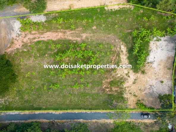 Doi Saket-DSP-(LS379-02) 2.5+ Rai of Nice Land for Sale in Luang Nuea