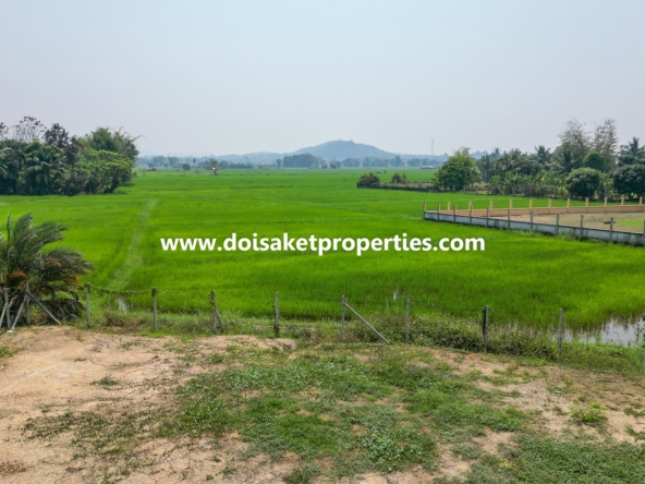 Doi Saket-DSP-(LS380-01) 1-Rai of Prime Land for Sale in Luang Nuea